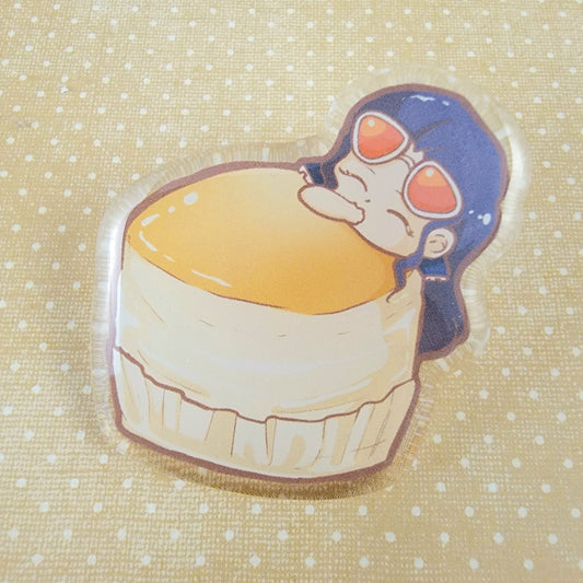 Robin Acrylic Pin